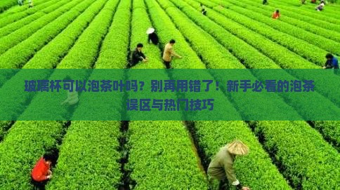 玻璃杯可以泡茶叶吗