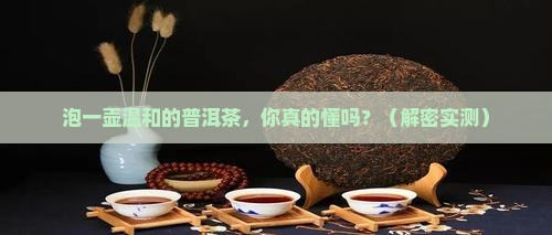 泡一壶温和的普洱茶