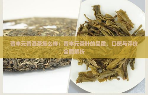 普丰元普洱茶怎么样