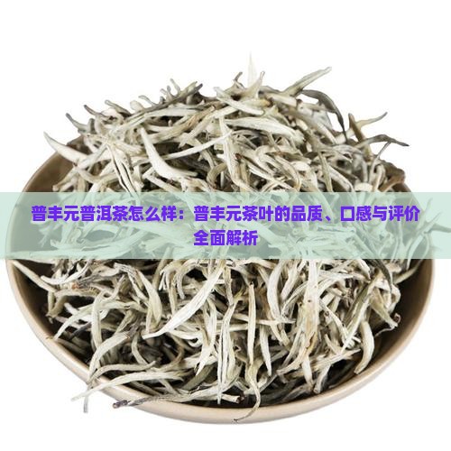 普丰元普洱茶怎么样