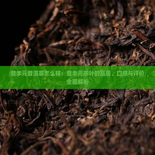 普丰元普洱茶怎么样