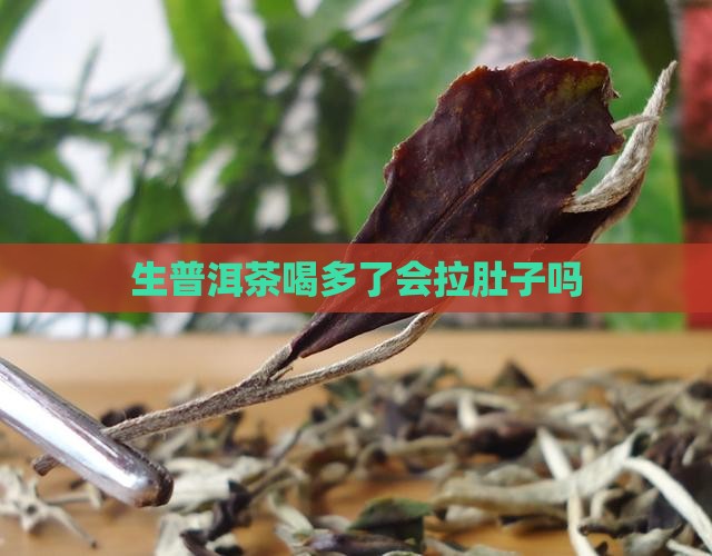 生普洱茶喝多了会拉肚子吗