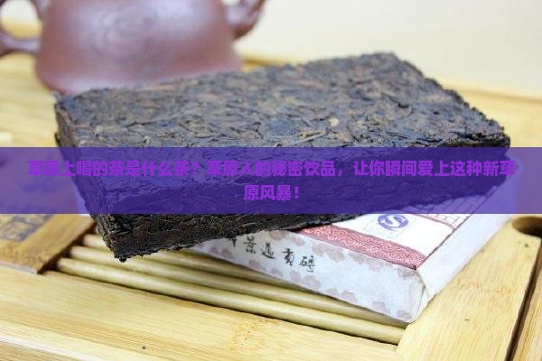 草原上喝的茶是什么茶