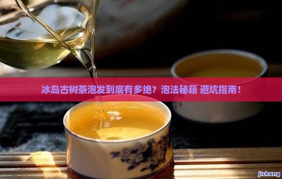 冰岛古树茶的泡发