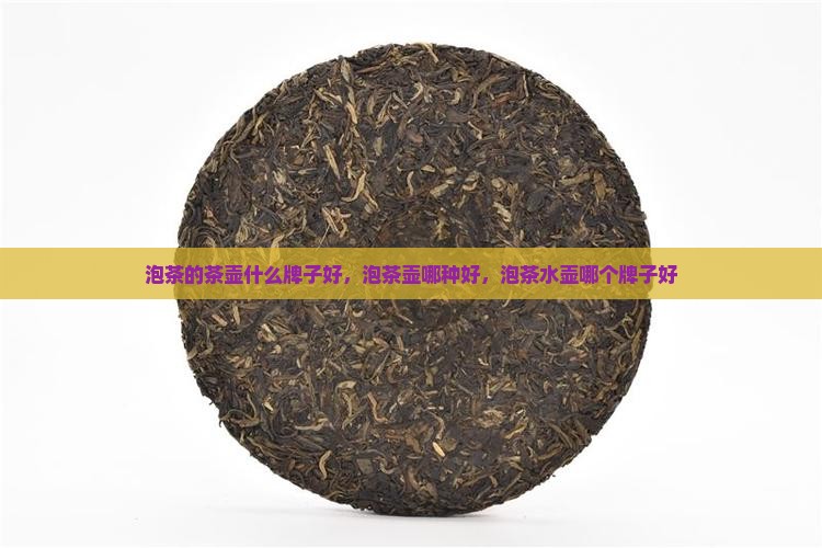 泡茶的茶壶什么牌子好