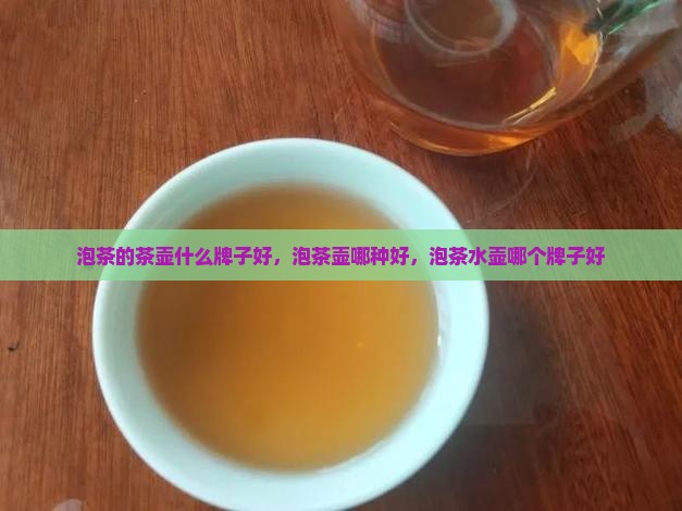 泡茶的茶壶什么牌子好