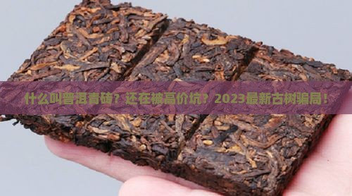 什么叫普洱青砖