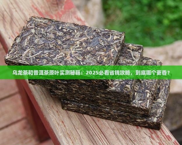 乌龙茶和普洱茶原叶