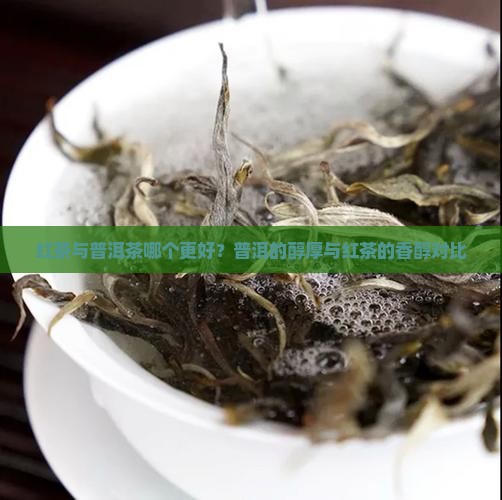 老茶是普洱茶还是红茶好