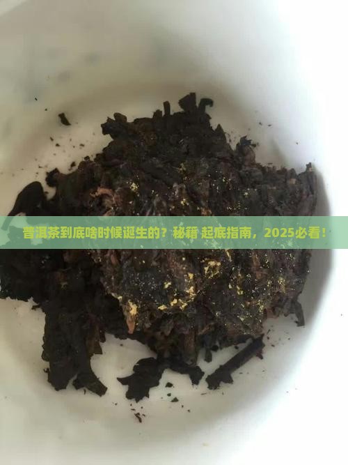 普洱茶诞生于哪年
