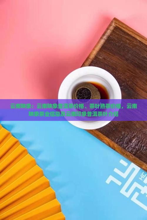 云南映象普洱茶网