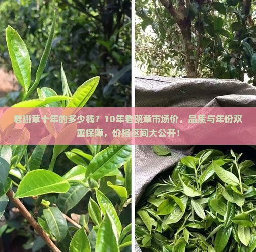 老班章十年的多少钱