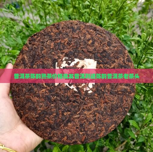 则迹陈韵普洱茶老茶头