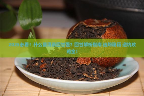 什么普洱茶回甘强