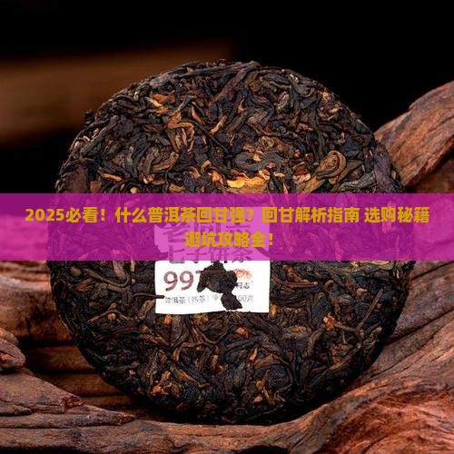 什么普洱茶回甘强