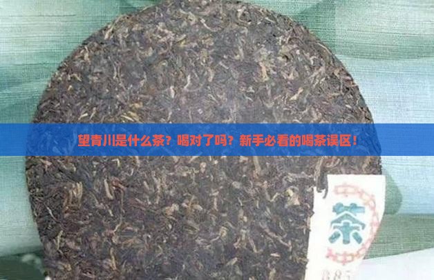 望青川是什么茶