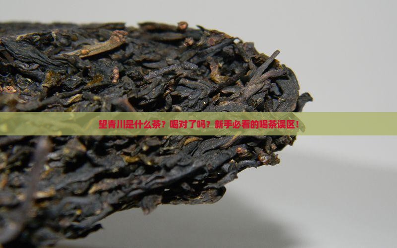 望青川是什么茶