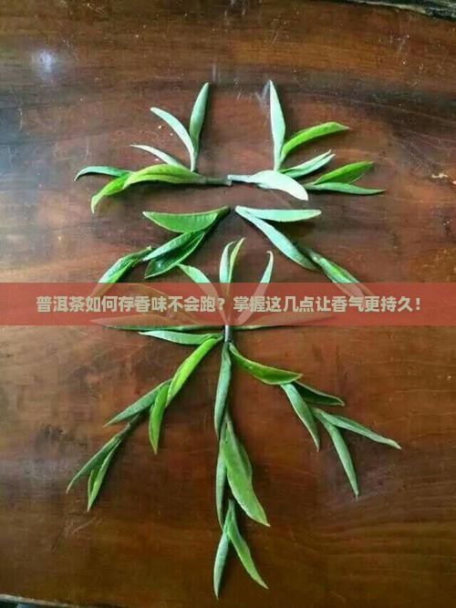 普洱茶如何存香味不会跑