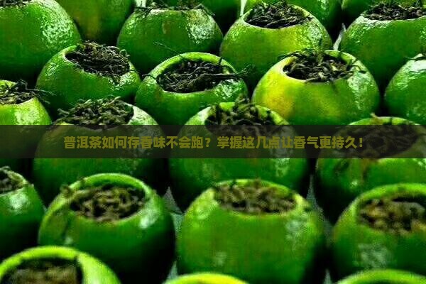 普洱茶如何存香味不会跑