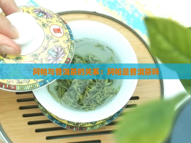 阿帕茶是普洱茶吗