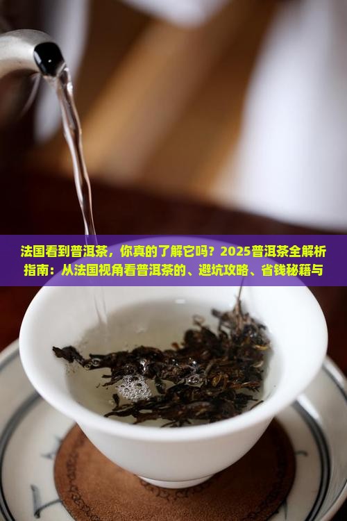 法国看到普洱茶