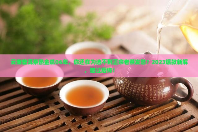 云南普洱茶熟金瓜06年