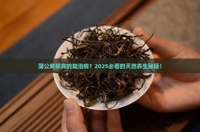 蒲公英茶的药用价值