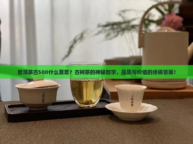 普洱茶古500什么意思