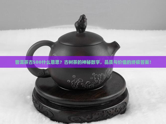 普洱茶古500什么意思