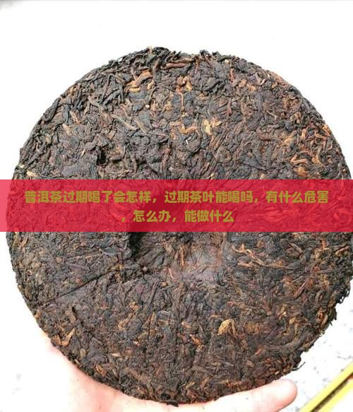 普洱茶过期喝了会怎样