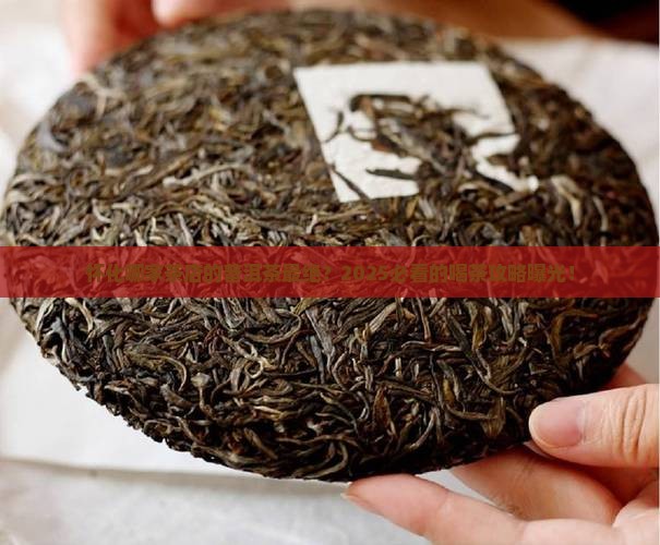 怀化最好的茶店普洱茶是哪家