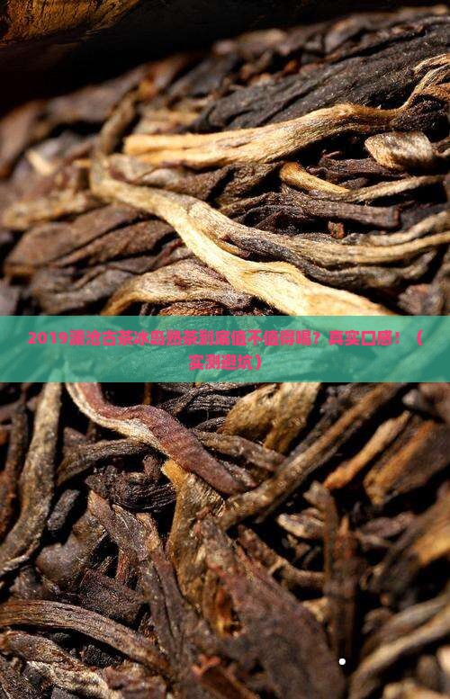 2019澜沧古茶冰岛熟茶