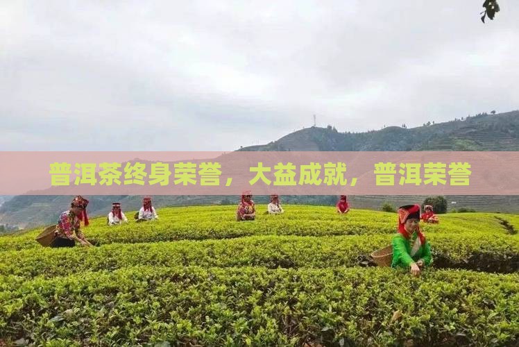 普洱茶终身荣誉大师
