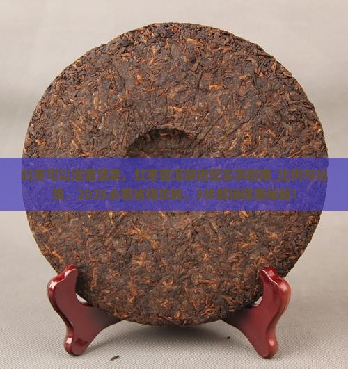 红枣可以泡普洱茶