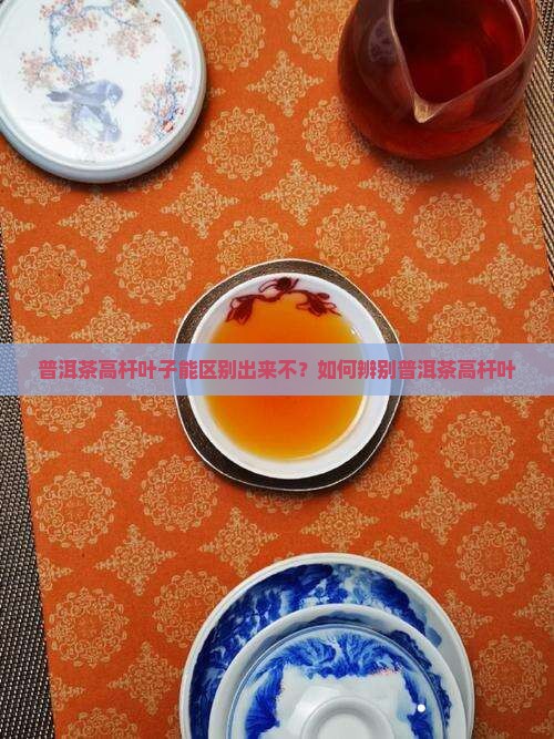 普洱茶高杆叶子能区别出来不