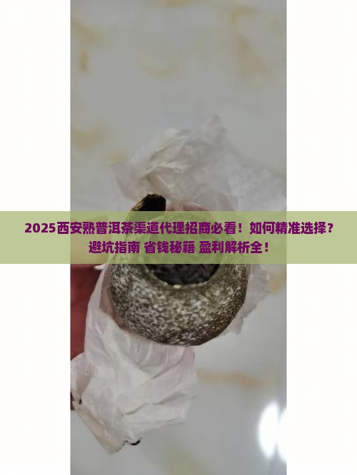 西安熟普洱茶渠道代理招商