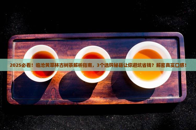 关于古树茶临沧黄草林古树茶