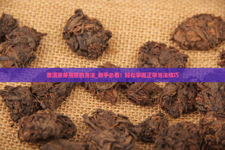 普洱茶芽孢茶的泡法