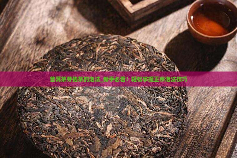 普洱茶芽孢茶的泡法