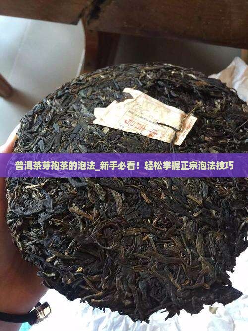 普洱茶芽孢茶的泡法