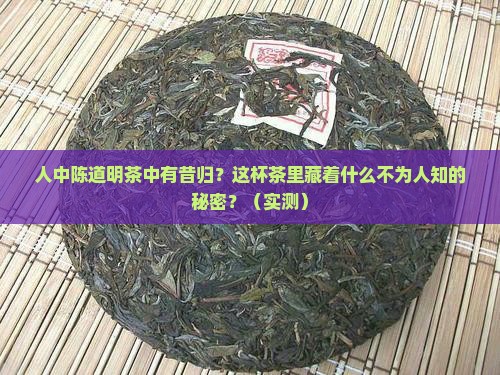 人中陈道明茶中有昔归