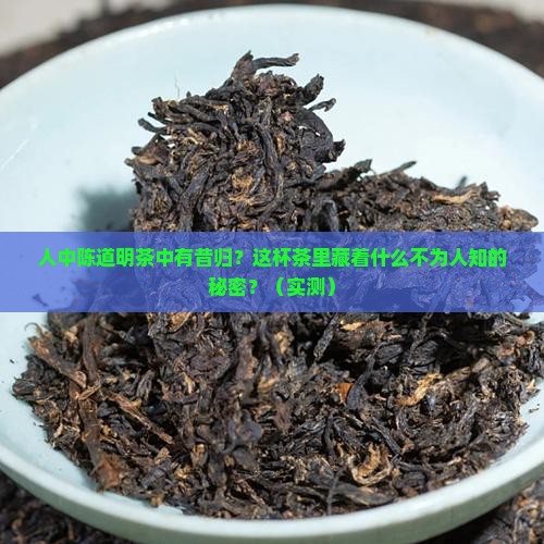 人中陈道明茶中有昔归