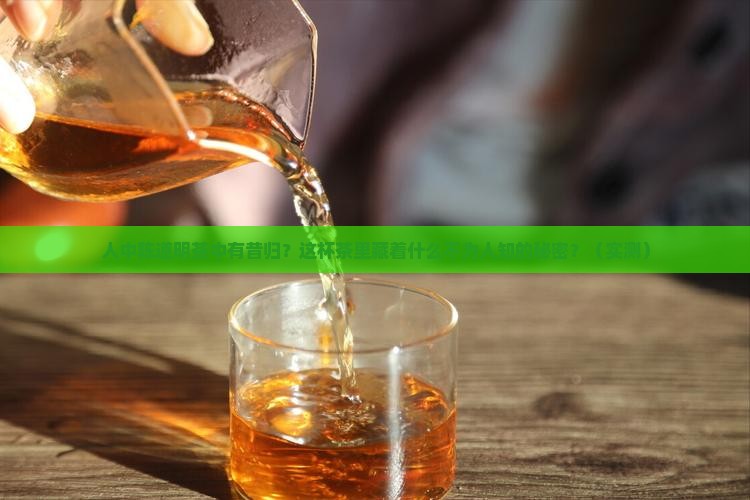 人中陈道明茶中有昔归