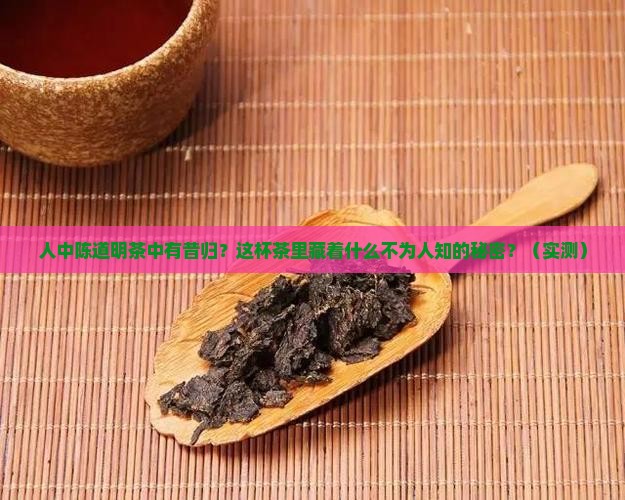 人中陈道明茶中有昔归
