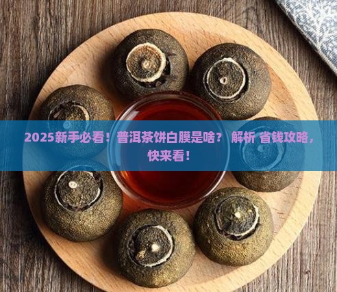 普洱茶饼外面有一层白膜