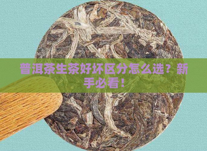 普洱茶生茶好坏区分