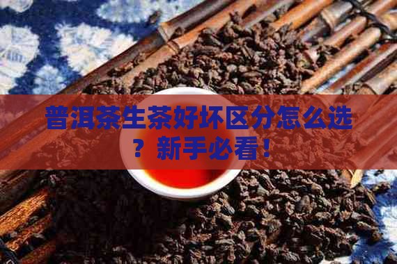 普洱茶生茶好坏区分