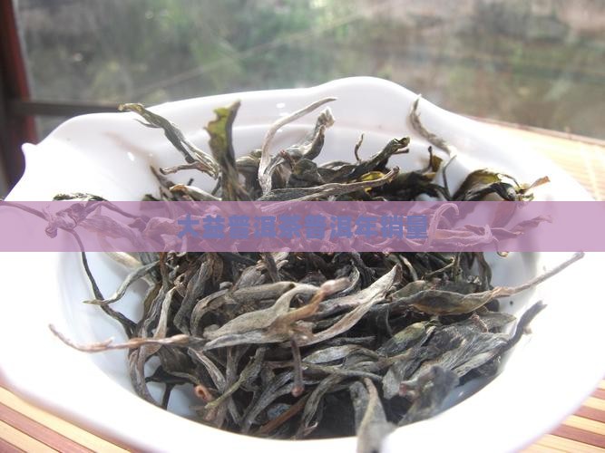 大益普洱茶年销量