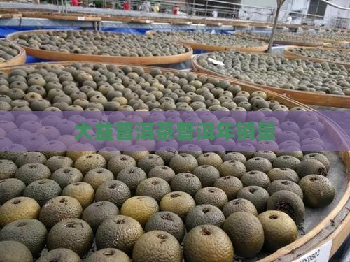 大益普洱茶年销量