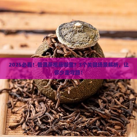 普洱茶祖籍哪里